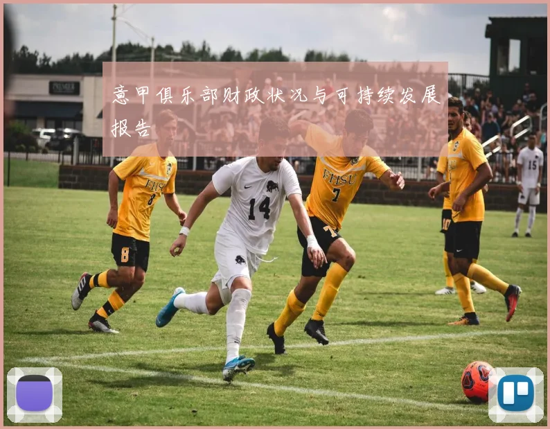 意甲俱乐部财政状况与可持续发展报告