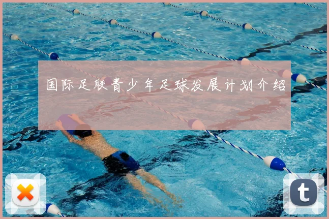 国际足联青少年足球发展计划介绍